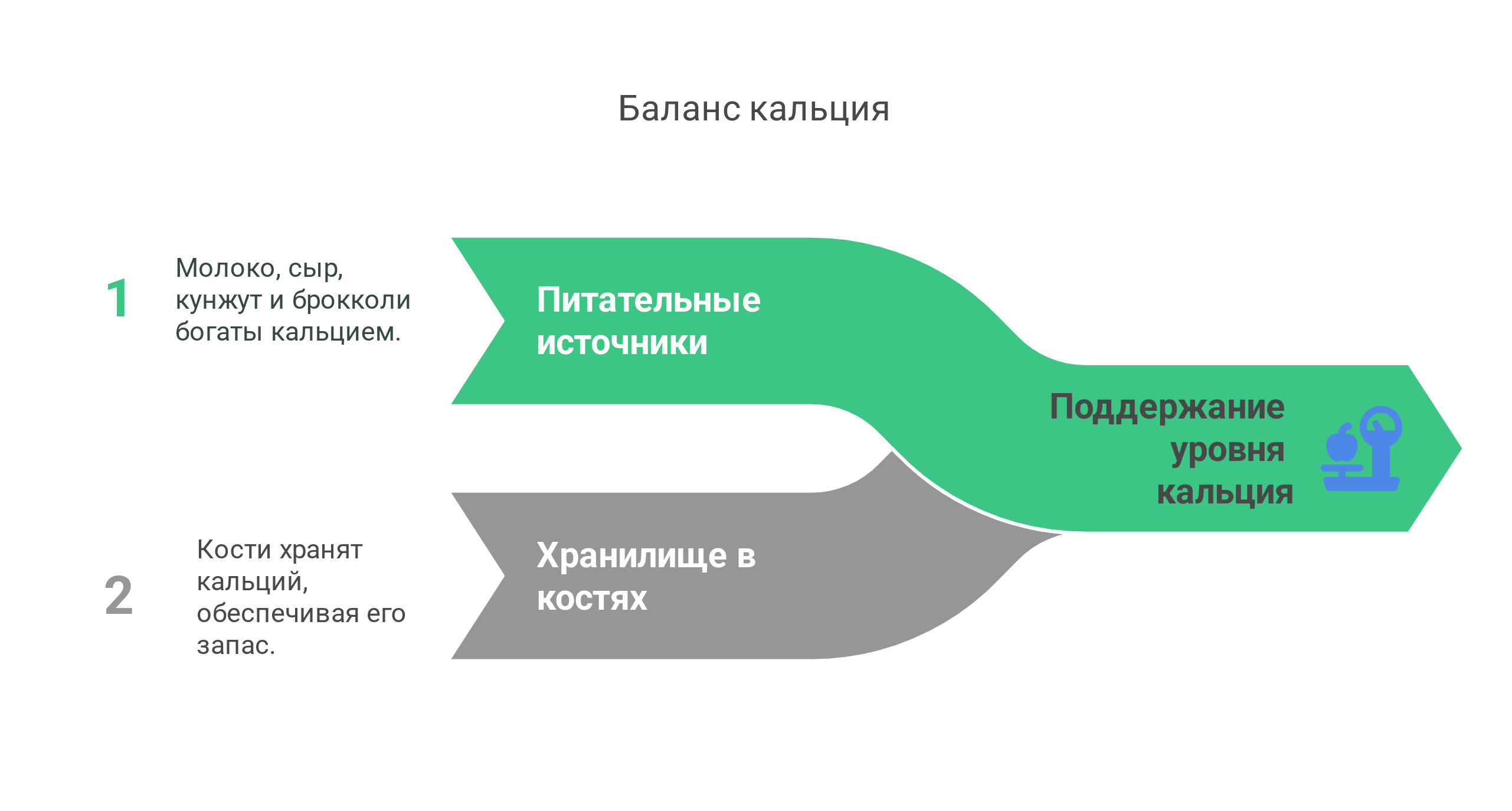 схема баланса кальция